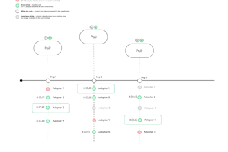 create clear workflow diagrams and process maps