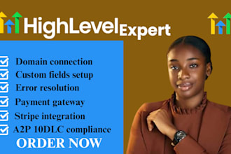 frappe CRM gohighlevel funnel idx brave ghl CRM  ghl virtual assistant ghl audit