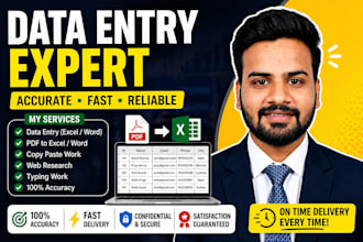do data entry copy paste typing and pdf to word excel work