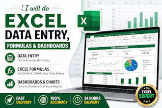 do professional microsoft excel data entry and formatting