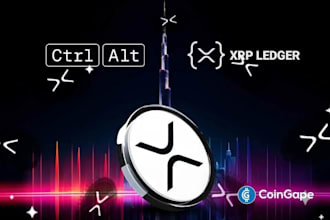 develop xrpl tokens, hooks, and smart contracts on xrp ledger, xrpl bot