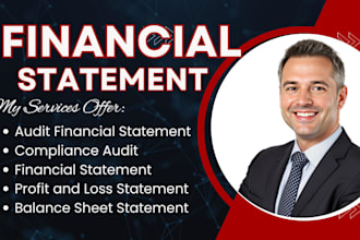 prepare accurate and professional financial statements and reports for audit