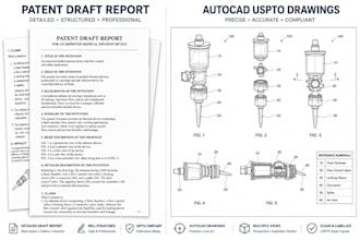 draft patent report and create autocad uspto drawings for inventions