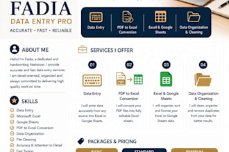 enter data professionally and accurately