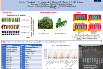 write scientific abstracts, research articles, ppts and conference papers