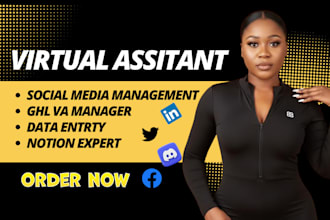 personal executive virtual assistant admin social media manager ghl notion crm