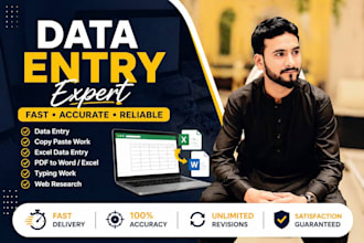 do data entry, copy paste, typing and pdf to word excel work
