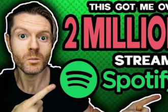 organic spotify promotion, music marketing, and playlist submission