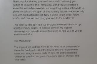 evaluate your manuscript via developmental editing