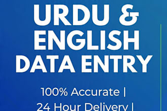 do fast english urdu typing data entry