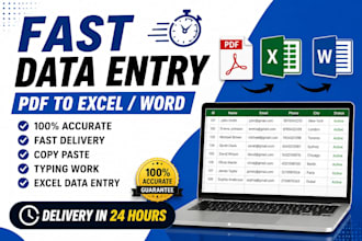 do fast and accurate data entry, copy paste and excel work