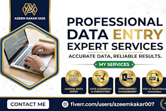 do accurate data entry, copy paste, PDF to word, excel and web res