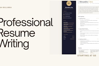 create a professional CV or resume in 24 hours