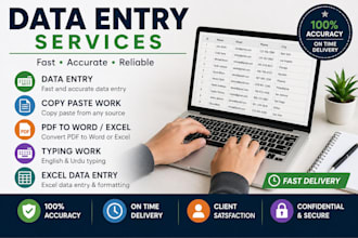 do data entry, PDF to word,typing,canva logo and youtube