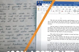 do fast data entry ,excel work, and pdf to word conversion