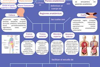 write expert medical and anatomy articles