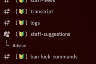 create a professional discord server with bots roles and setup