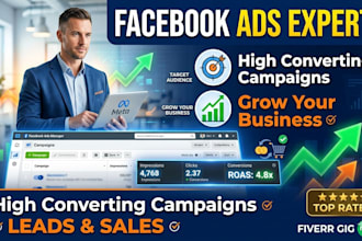 facebook ads expert for high converting campaigns