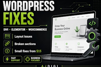 fix wordpress divi elementor woocommerce and website issues
