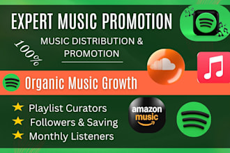 be your expert music promotion organic spotify promotion playlist submission