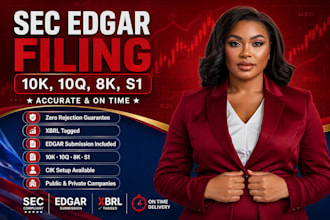 do and file sec  10q 8k s1 10k reports and manage edgar compliance