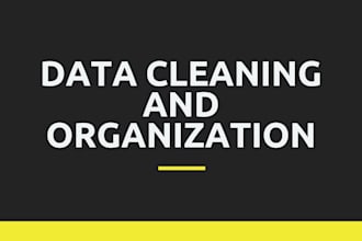 organize and clean your data in excel
