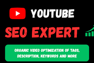 do the best youtube SEO and video optimization