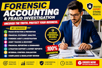 provide forensic accounting, fraud detection, and financial analysis
