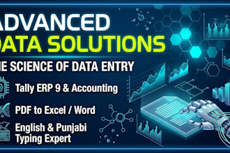 do fastest data entry, tally accounting and punjabi typing