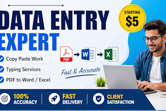 do data entry, copy paste work and typing tasks