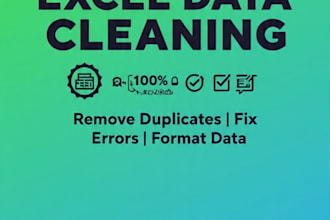 do professional excel data cleaning and data entry