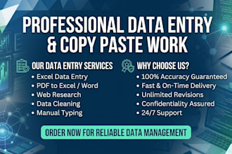 do professional data entry, copy paste and excel data typing