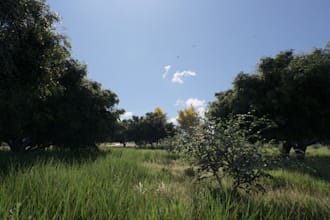 design 3d game environment metaverse environment in blender or unreal engine