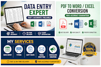 do fast and accurate data entry, typing and copy paste work