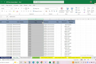 do excel data entry data, data cleaning, formatting