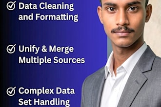 provide professional data cleaning, formatting, merging