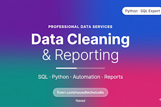 do sql data cleaning, python data analysis and professional reporting