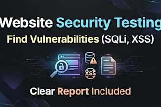 perform web security testing and vulnerability assessment