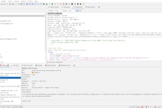 test your website for security vulnerabilities and provide report