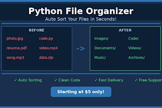 build a python automation script to organize your files