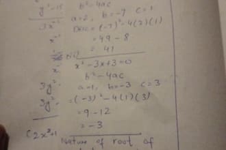 tutor algebra, calculus, and basic math step by step
