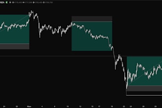 provide one to one trading mentorship