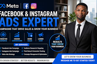 run facebook ads instragram ads and meta ads campaign for sales and leads