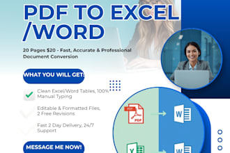 do fast and accurate PDF to excel data entry typing in 24 hours