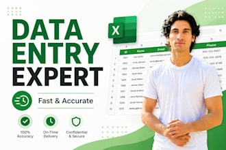 data entry work accurately and fast