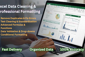 do accurate and fast excel data cleaning and formatting