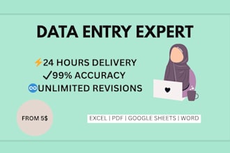 do fast and 99 percent accurate excel data entry and cleanup