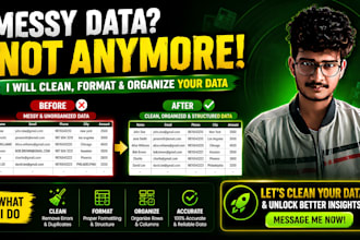 clean, organize, and format your excel data professionally