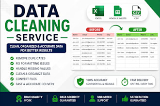 do expert data cleaning,deduplication, and formatting