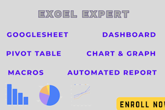 provide insightful macro, pivot table, dashboard in excel